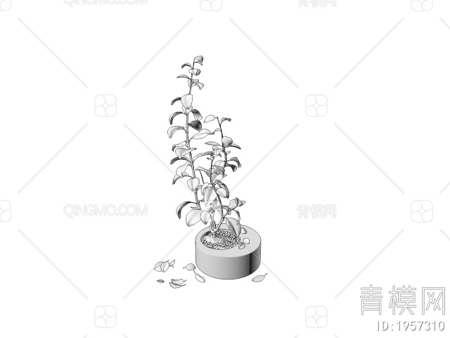 绿色植物 绿色盆景植物3D模型下载【ID:1957310】