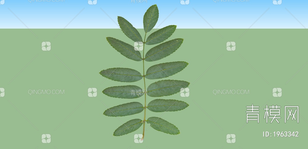 绿色植物 植物叶子SU模型下载【ID:1963342】