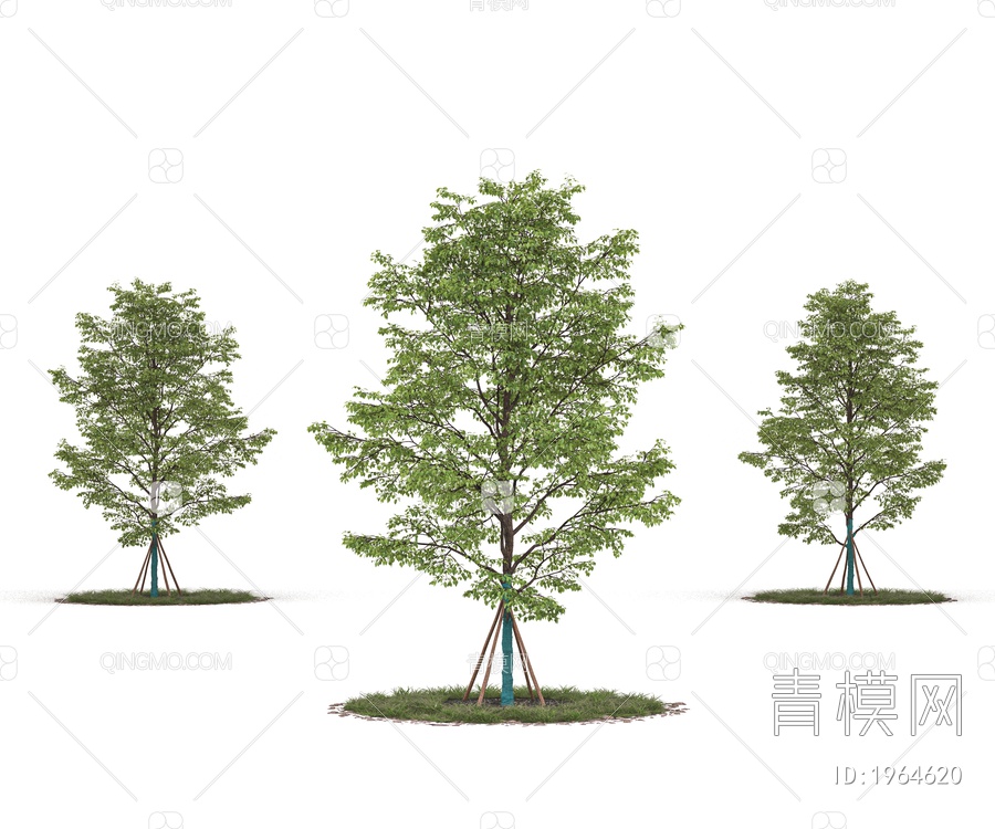 乔木 树木 带防风棉树 景观树 行道树 庭院树 园林树 绿植3D模型下载【ID:1964620】