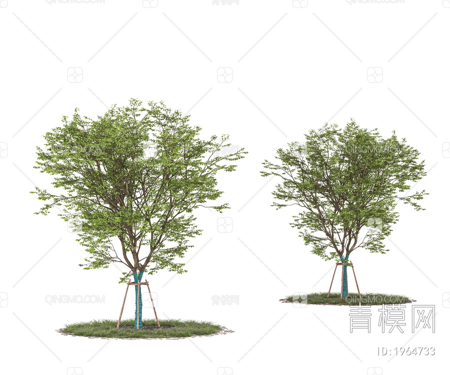 乔木 树木 带防风棉树 景观树 行道树 庭院树 园林树 树池3D模型下载【ID:1964733】