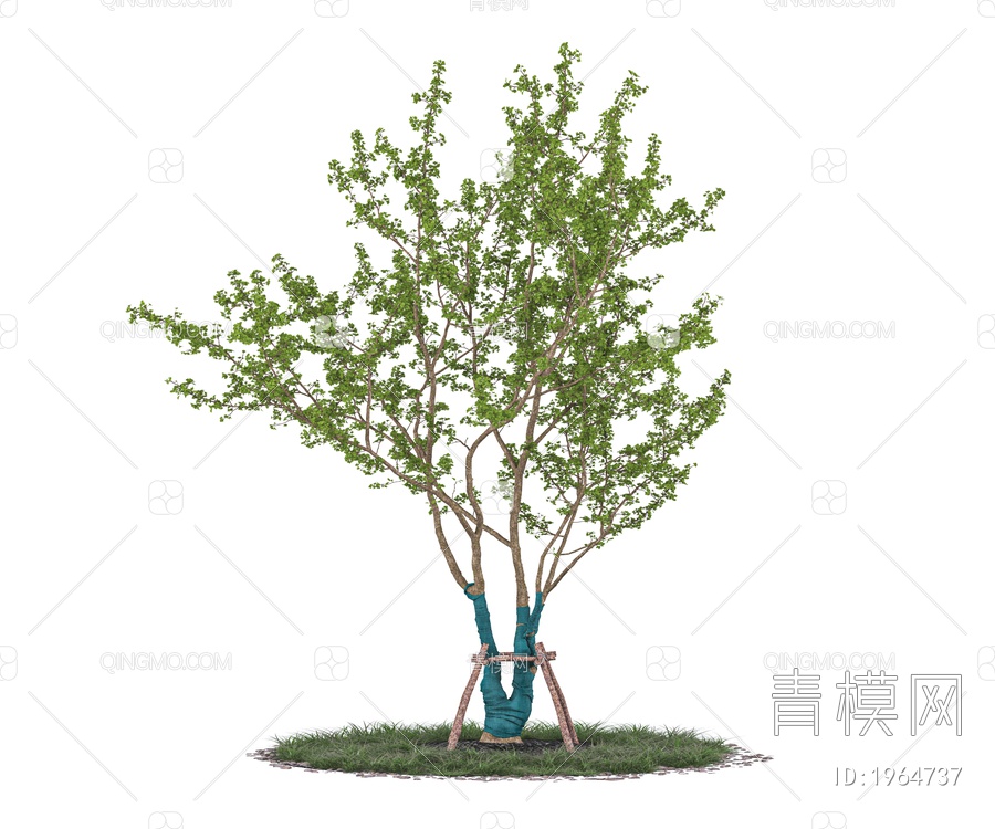 树木 乔木 行道树 景观树 庭院树 带防风棉树3D模型下载【ID:1964737】