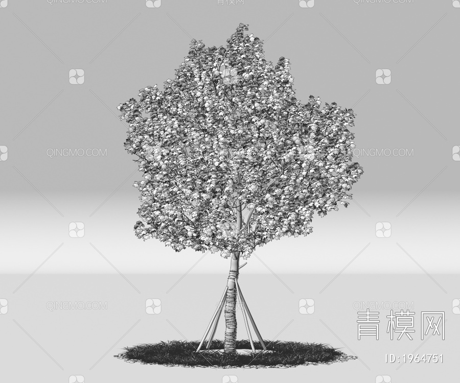 大树 乔木 带防风棉树 行道树 庭院树 造景树 绿植景观树3D模型下载【ID:1964751】