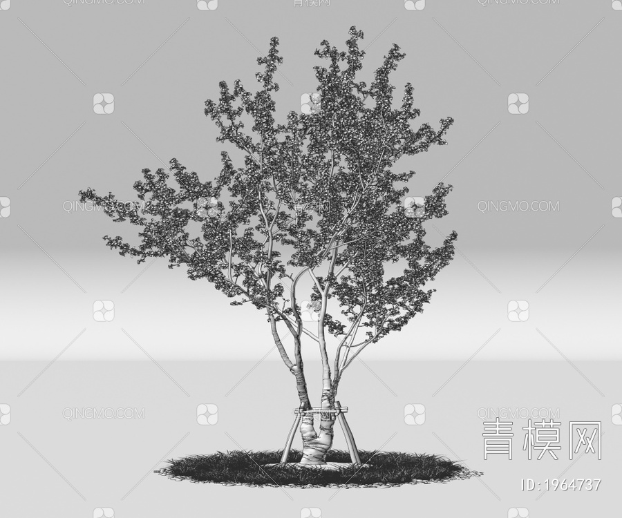 树木 乔木 行道树 景观树 庭院树 带防风棉树3D模型下载【ID:1964737】
