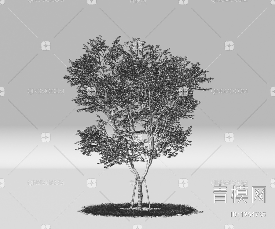 带防风棉树 景观树 行道树 庭院树 绿植乔木 大树3D模型下载【ID:1964735】