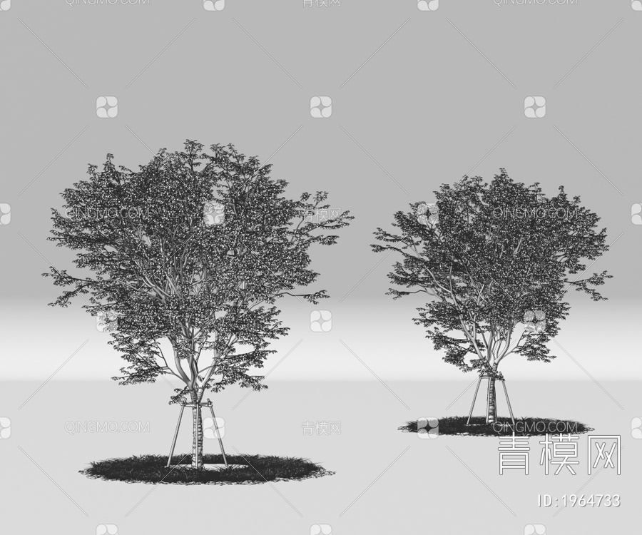 乔木 树木 带防风棉树 景观树 行道树 庭院树 园林树 树池3D模型下载【ID:1964733】