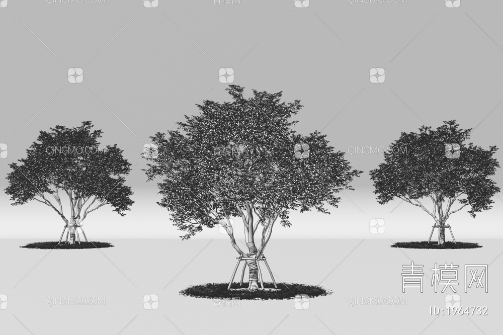 树木 乔木 行道树 景观树 庭院树 带防风棉树3D模型下载【ID:1964732】