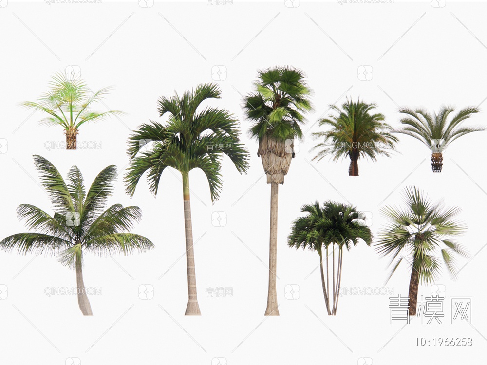 植物棕榈树SU模型下载【ID:1966258】