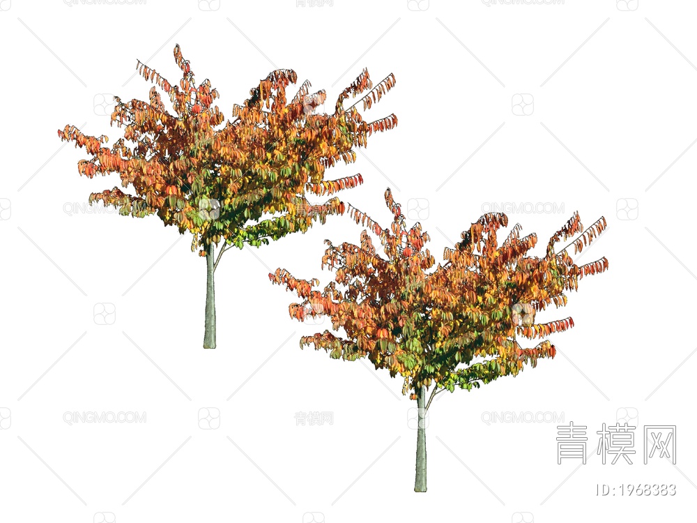 绿色植物 植物大树SU模型下载【ID:1968383】