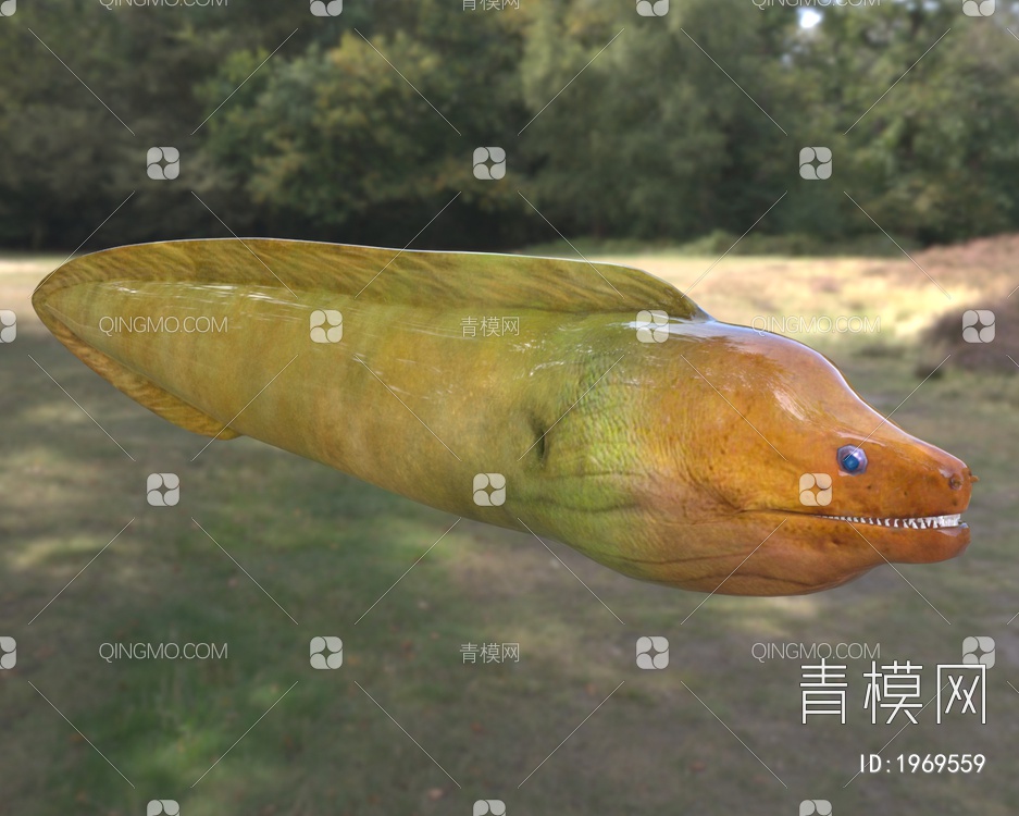 黄绿色海鳝3D模型下载【ID:1969559】