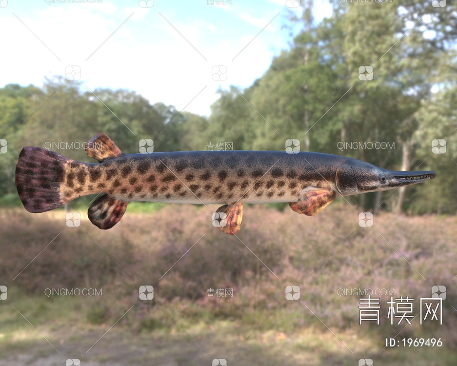 鳄雀鳝3D模型下载【ID:1969496】