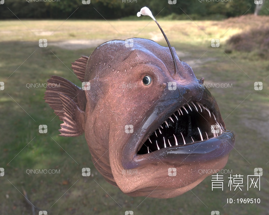 灯笼鱼足球鱼深海鱼类3D模型下载【ID:1969510】