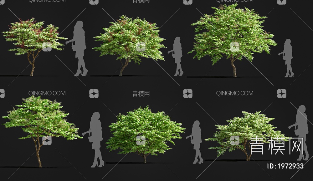 景观树3D模型下载【ID:1972933】
