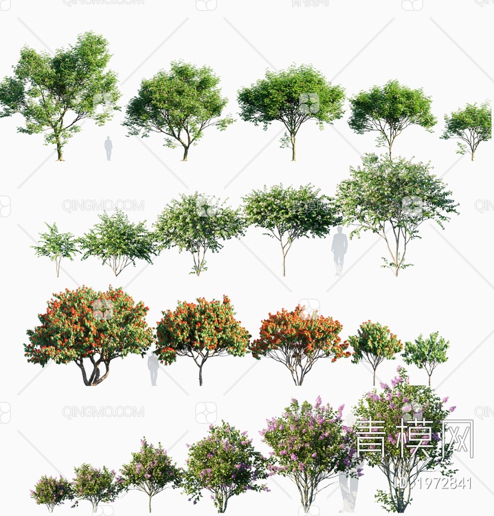 景观树3D模型下载【ID:1972841】