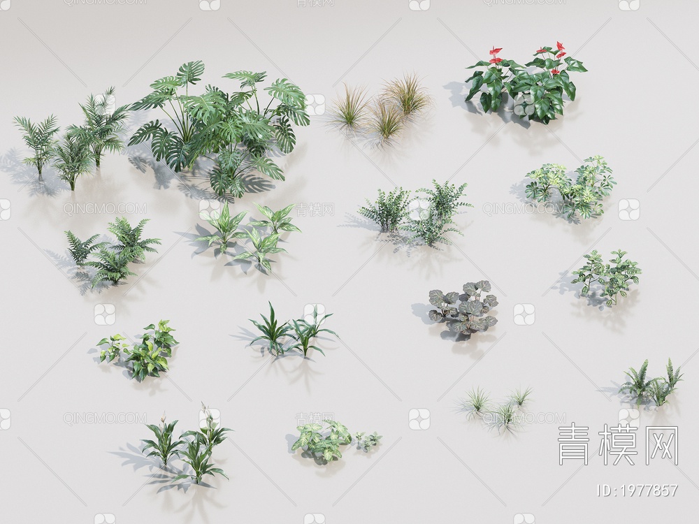 植物 花草 花卉3D模型下载【ID:1977857】