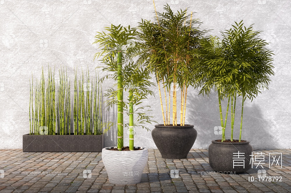 景观植物竹子，景观竹，园林景观，园林小品。3D模型下载【ID:1978792】