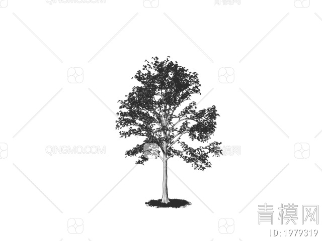 庭院景观树 乔木 大树3D模型下载【ID:1979319】