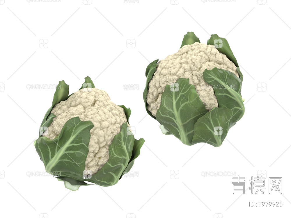 蔬菜 花菜3D模型下载【ID:1979926】