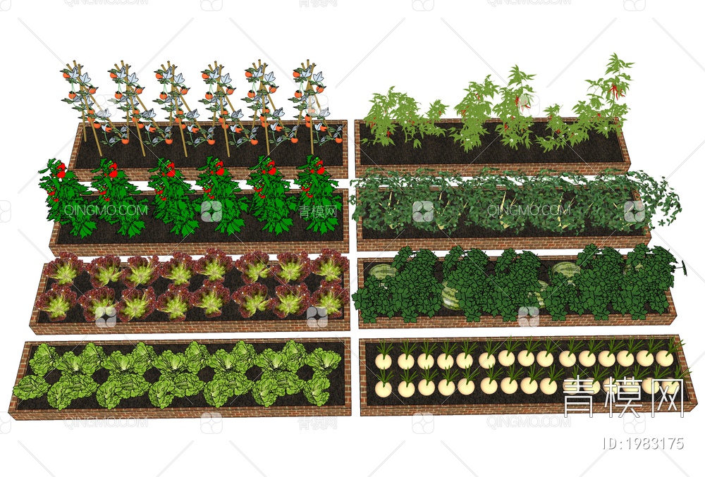 蔬菜种植 菜地菜园SU模型下载【ID:1983175】