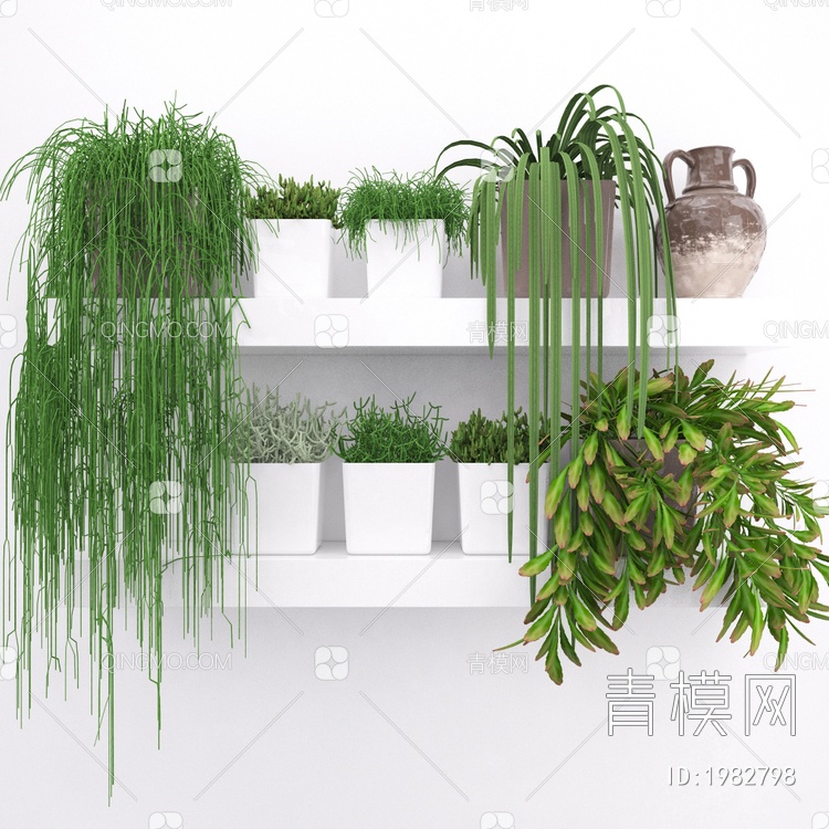 绿植盆栽3D模型下载【ID:1982798】