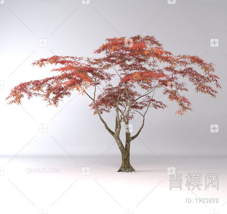 红枫树3D模型下载【ID:1983892】