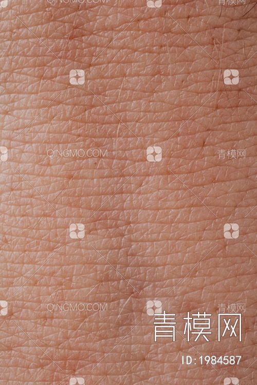 人动物皮肤贴图贴图下载【ID:1984587】