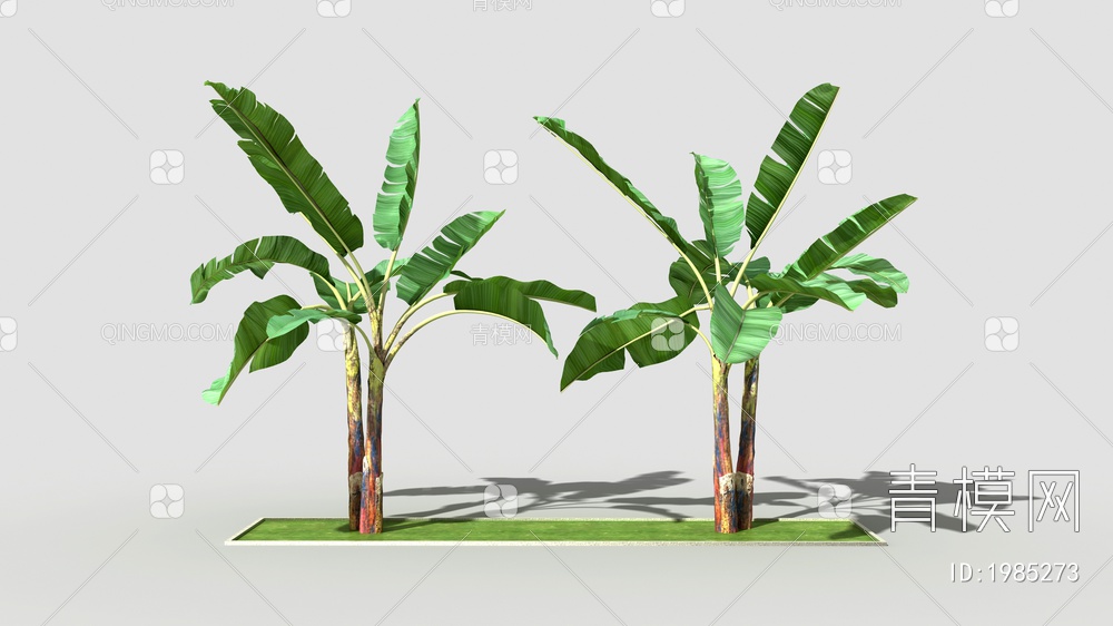 芭蕉树3D模型下载【ID:1985273】