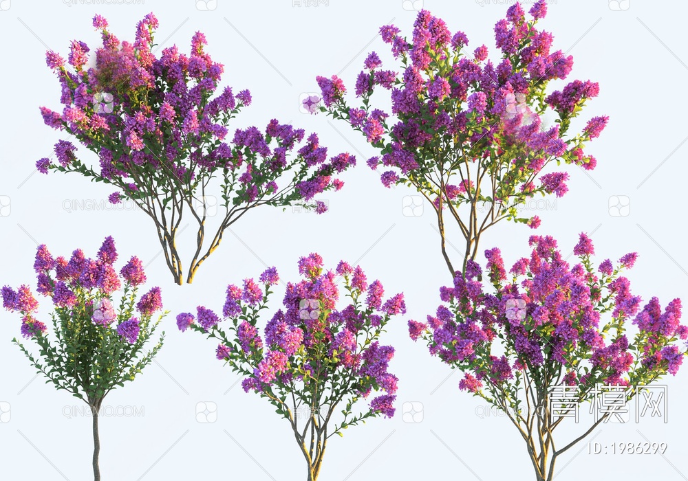 景观树，紫薇花树SU模型下载【ID:1986299】