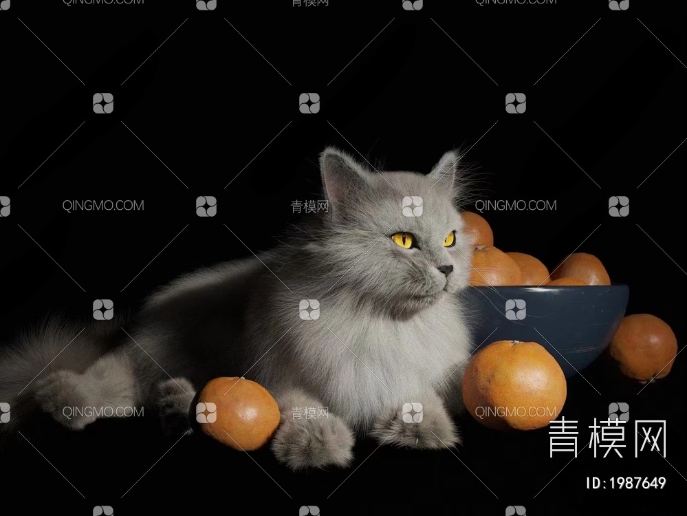 猫_橘子_猫咪3D模型下载【ID:1987649】