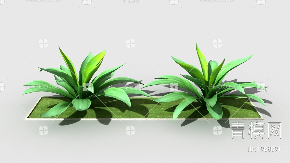 植物3D模型下载【ID:1988891】