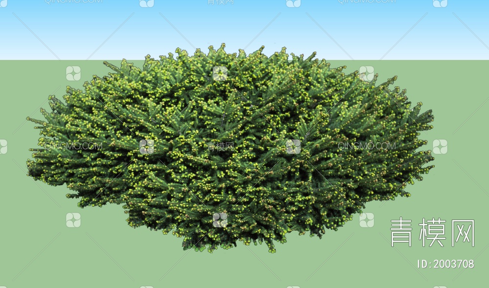 绿色植物  大树树叶SU模型下载【ID:2003708】