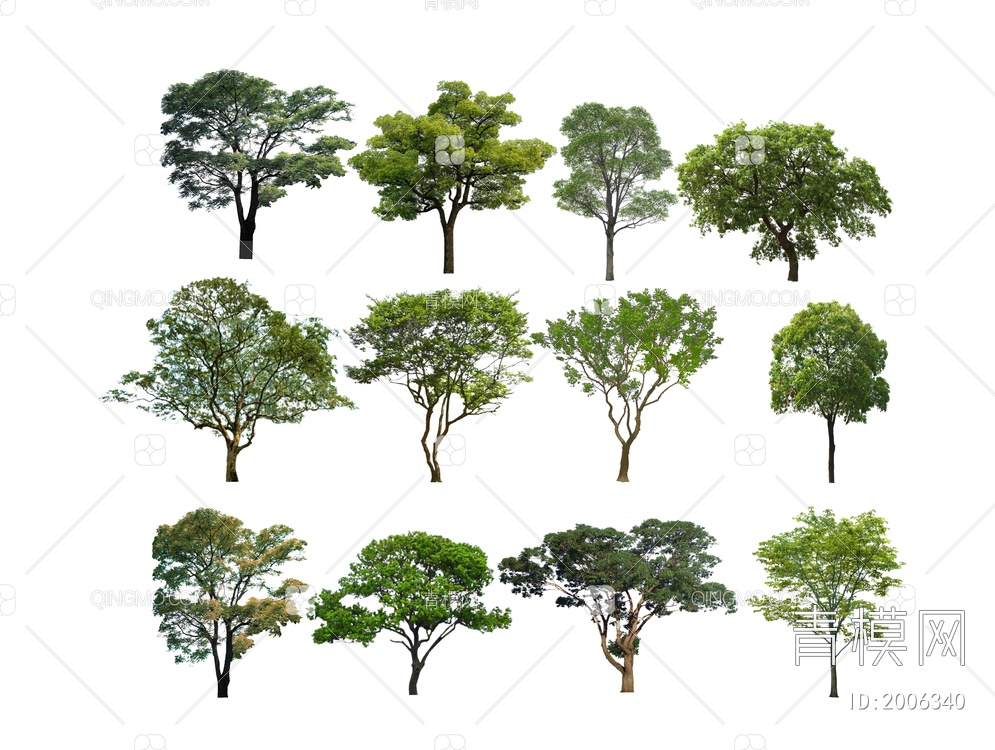景观树SU模型下载【ID:2006340】