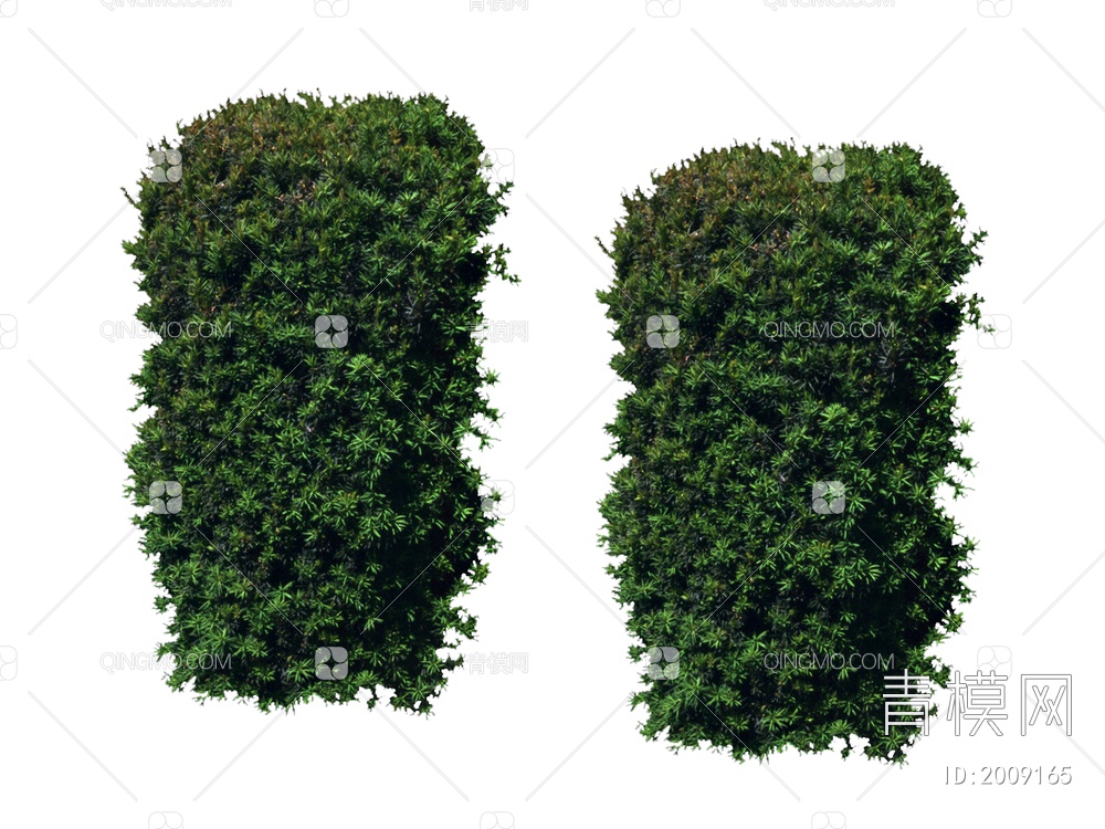绿色植物 大树树叶SU模型下载【ID:2009165】