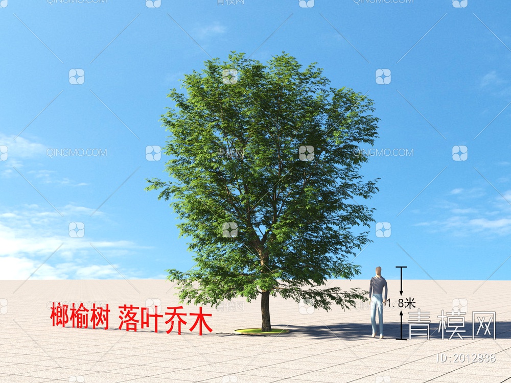 榔榆树 落叶乔木 植物类3D模型下载【ID:2012838】