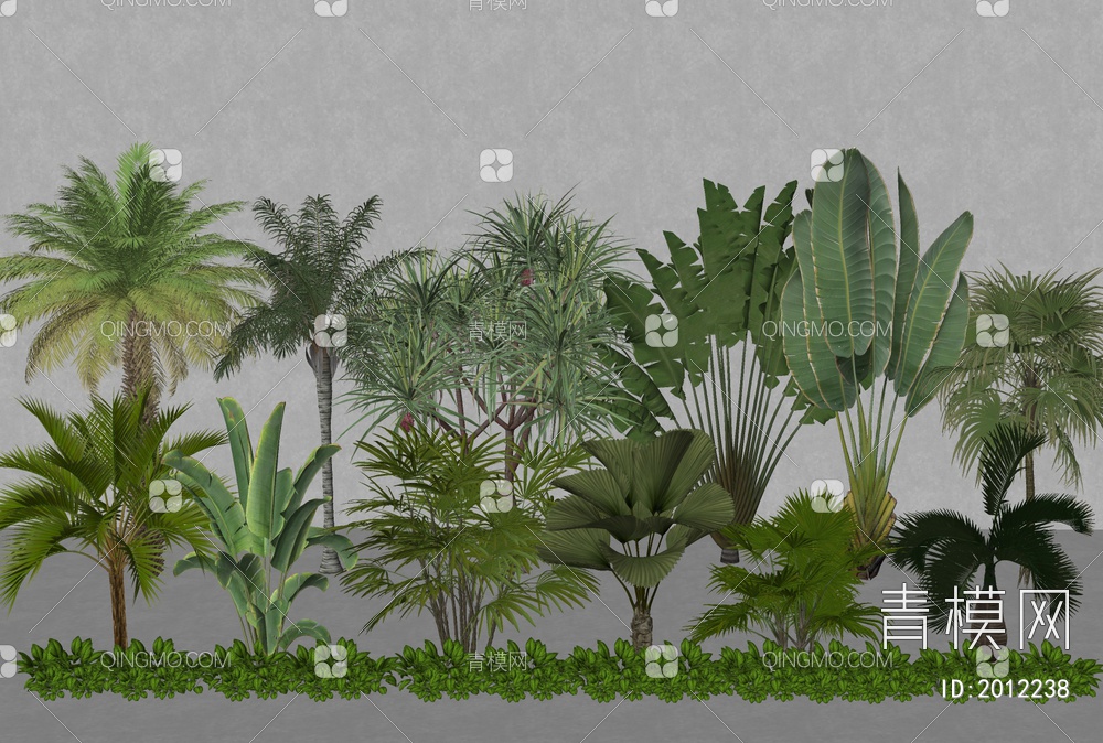 热带植物景观树SU模型下载【ID:2012238】