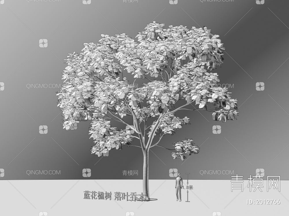 蓝花楹树 落叶乔木 植物类3D模型下载【ID:2012766】
