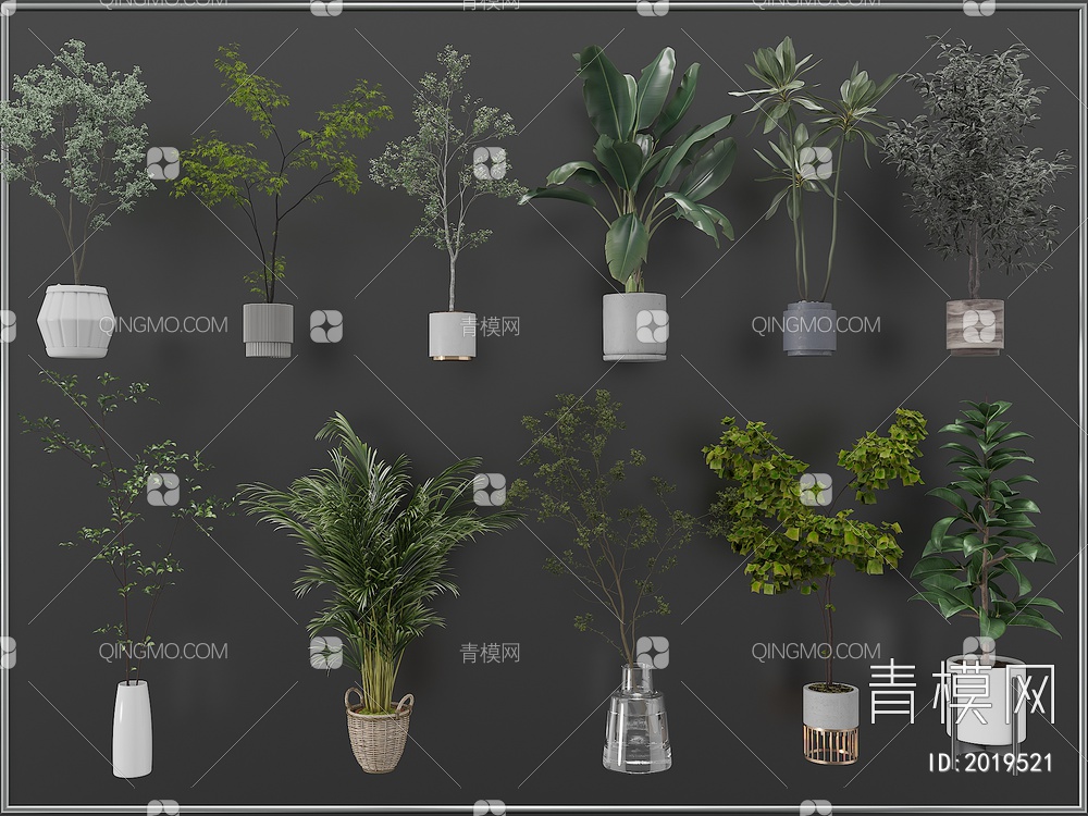 植物 盆栽摆件3D模型下载【ID:2019521】