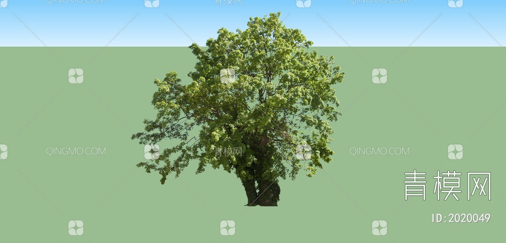 绿色植物 大树SU模型下载【ID:2020049】