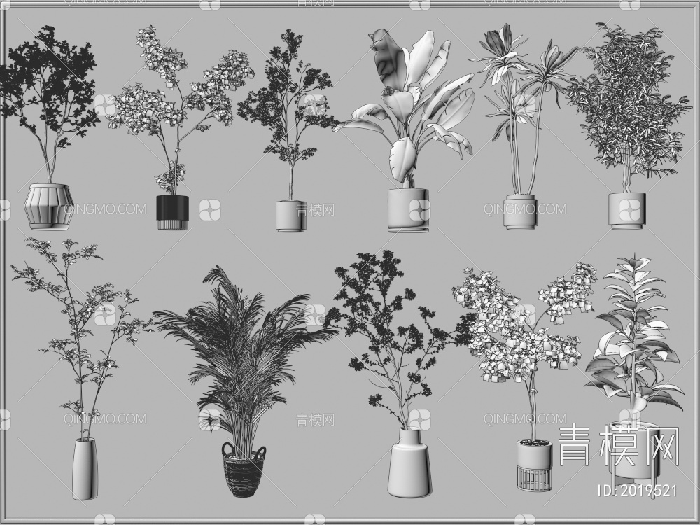 植物 盆栽摆件3D模型下载【ID:2019521】