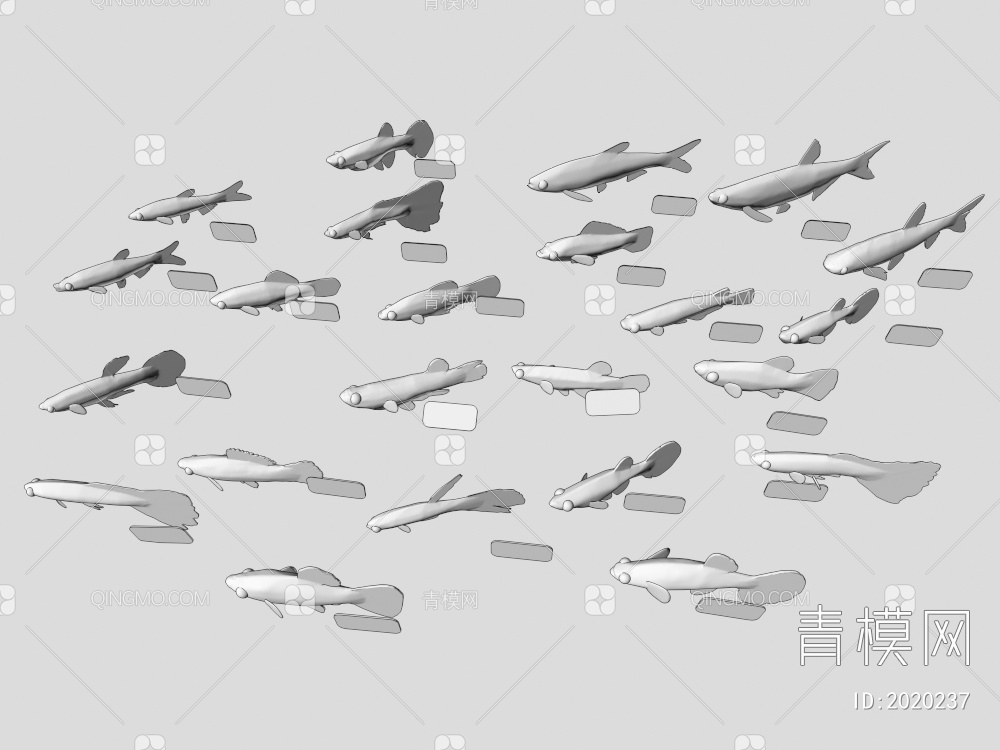 鱼 观赏鱼3D模型下载【ID:2020237】