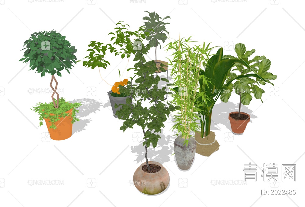 绿植盆栽 大型景观植物SU模型下载【ID:2022485】