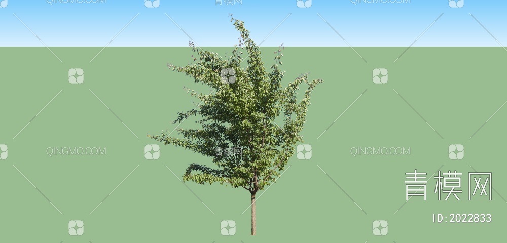 绿色植物 大树SU模型下载【ID:2022833】