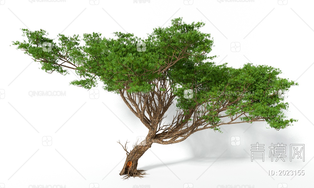 一颗苍老的大树3D模型下载【ID:2023155】