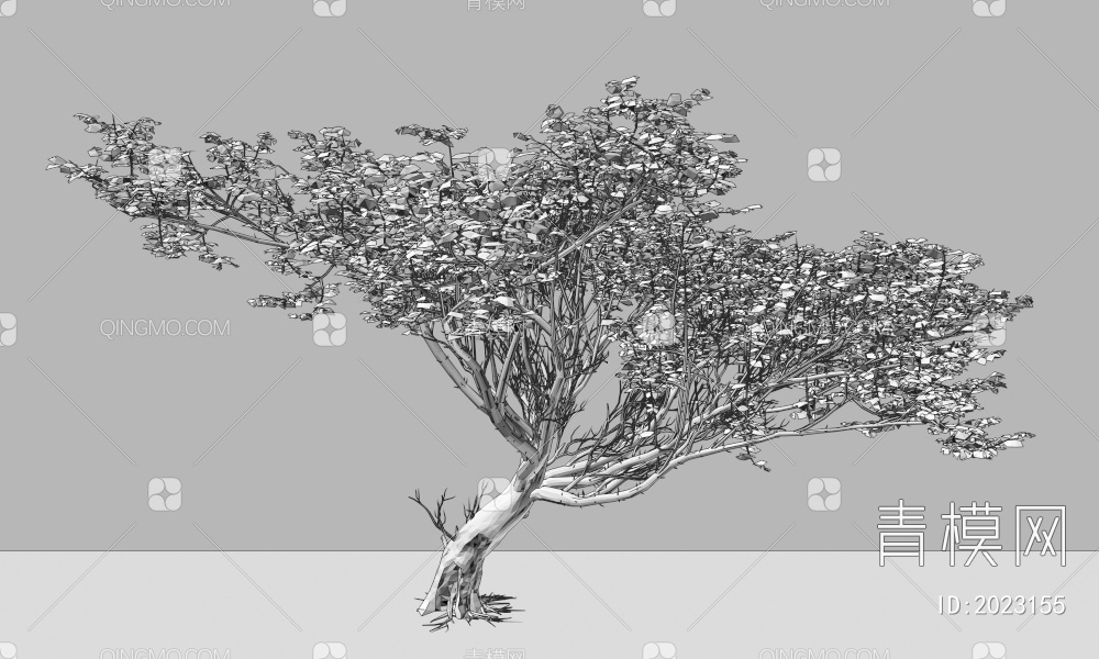 一颗苍老的大树3D模型下载【ID:2023155】