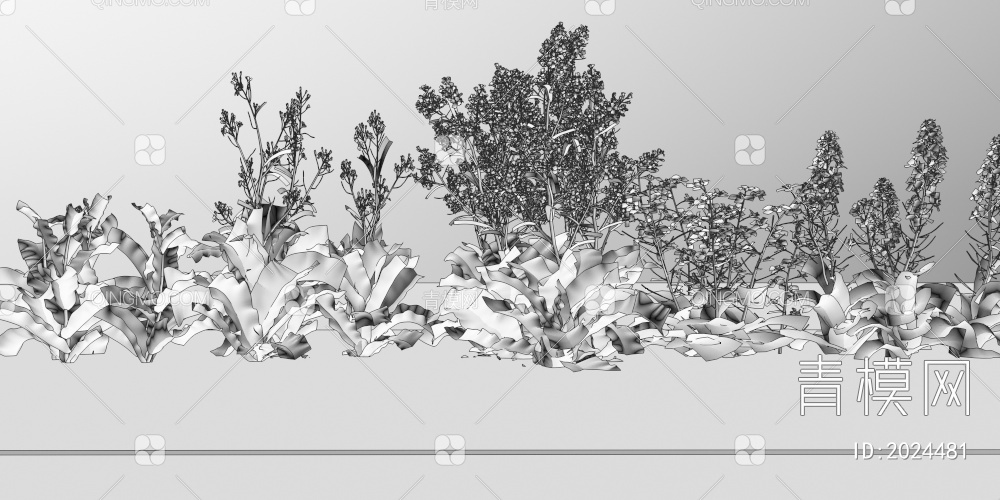 油菜花植物3D模型下载【ID:2024481】