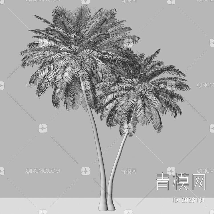 两棵椰子树3D模型下载【ID:2023131】