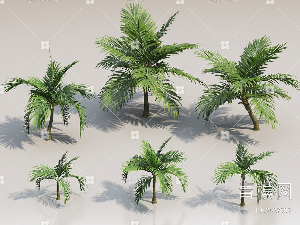 热带植物3D模型下载【ID:2027507】