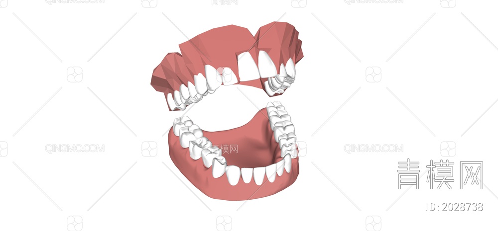 牙齿道具SU模型下载【ID:2028738】
