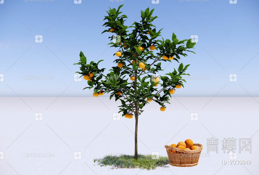 橘子树SU模型下载【ID:2030849】