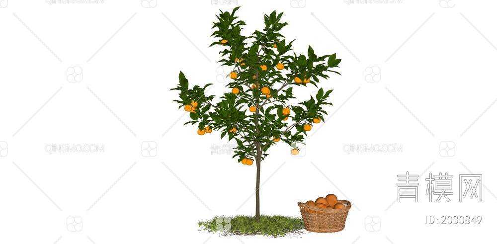 橘子树SU模型下载【ID:2030849】