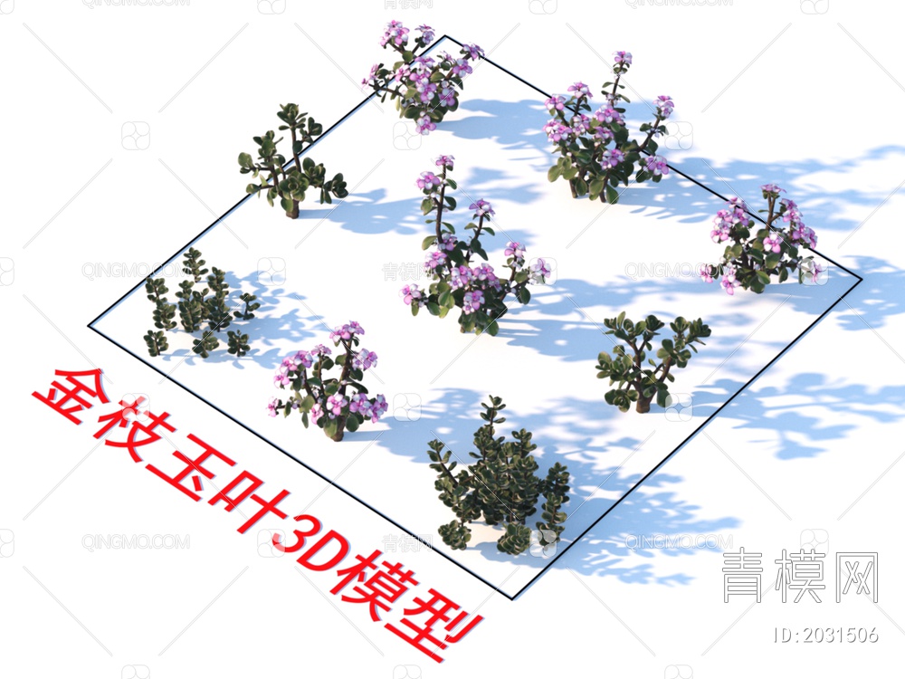 金枝玉叶 植物 灌木3D模型下载【ID:2031506】
